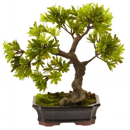 DARE2DECOR Podocarpus With Mossed Bonsai Planter DA409335